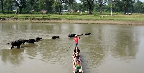 nepal travel 6 days canoeing in chitwan national park