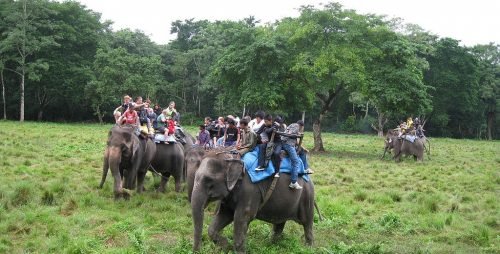 nepal family tour elephant back safari in chitwan