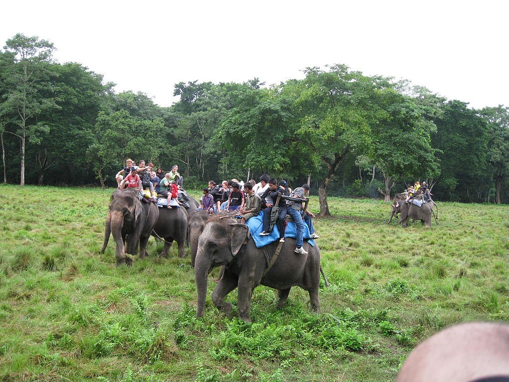 6 Days Nepal Travel: Nepal Jungle Safari Tour