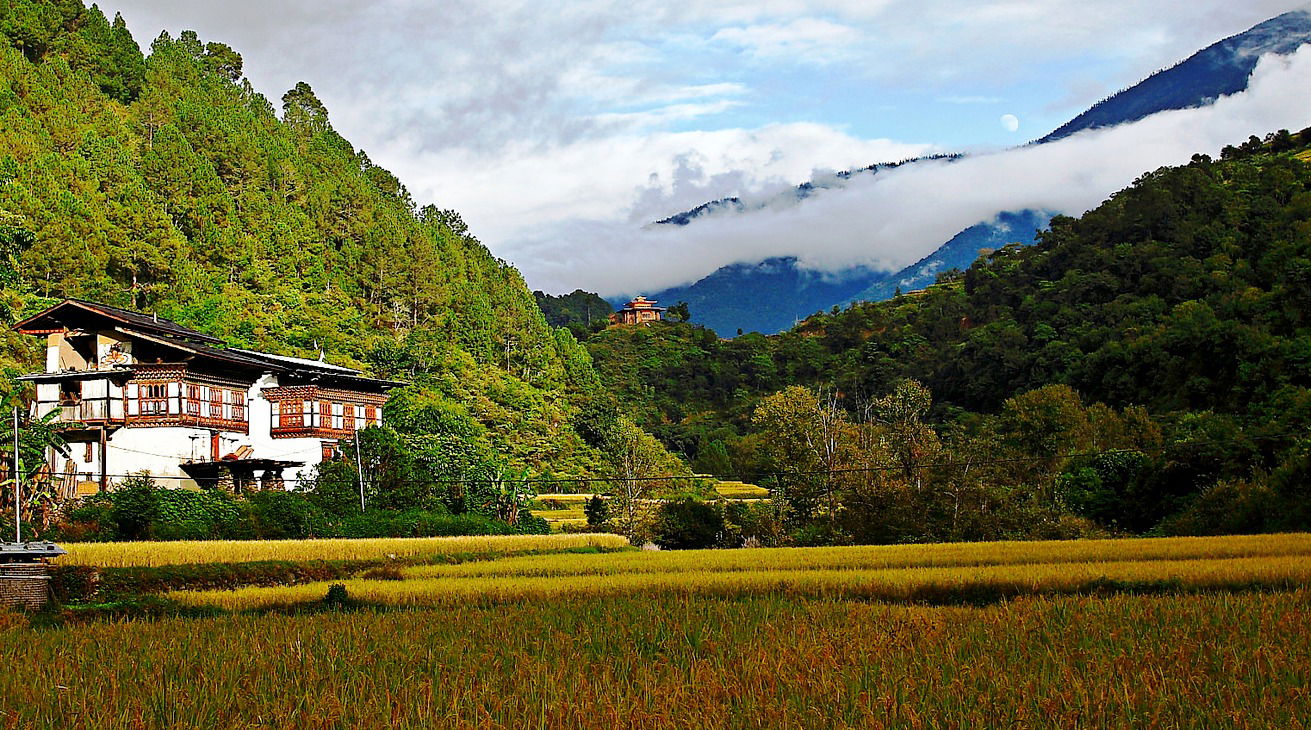 Gangtey Trek: 9 Days Trekking in Bhutan