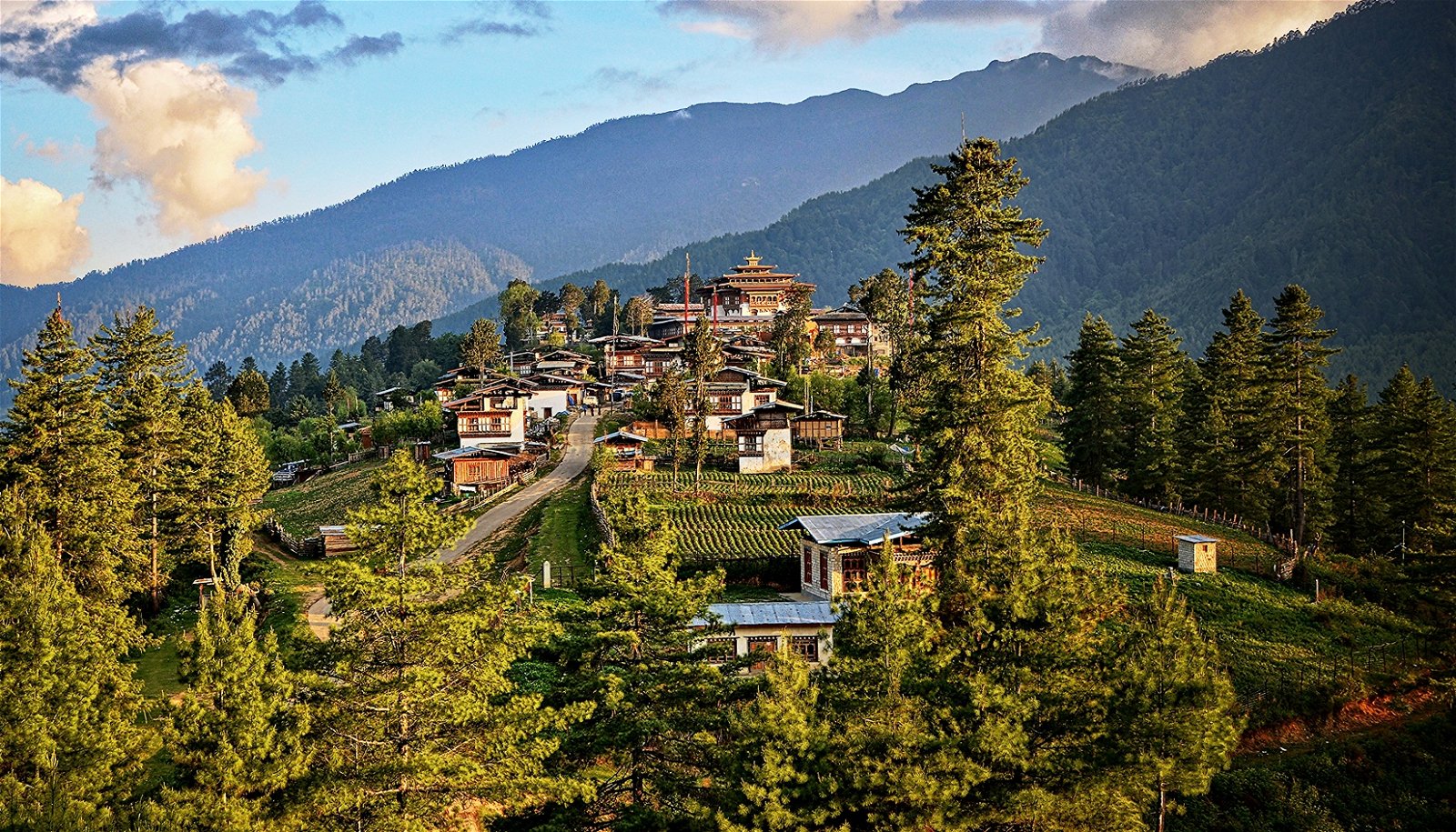 Bhutan Travel 7 days : Paro Thimphu Gangtey Tour