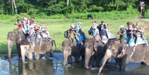 nepal adventure travel elephant safari chitwan