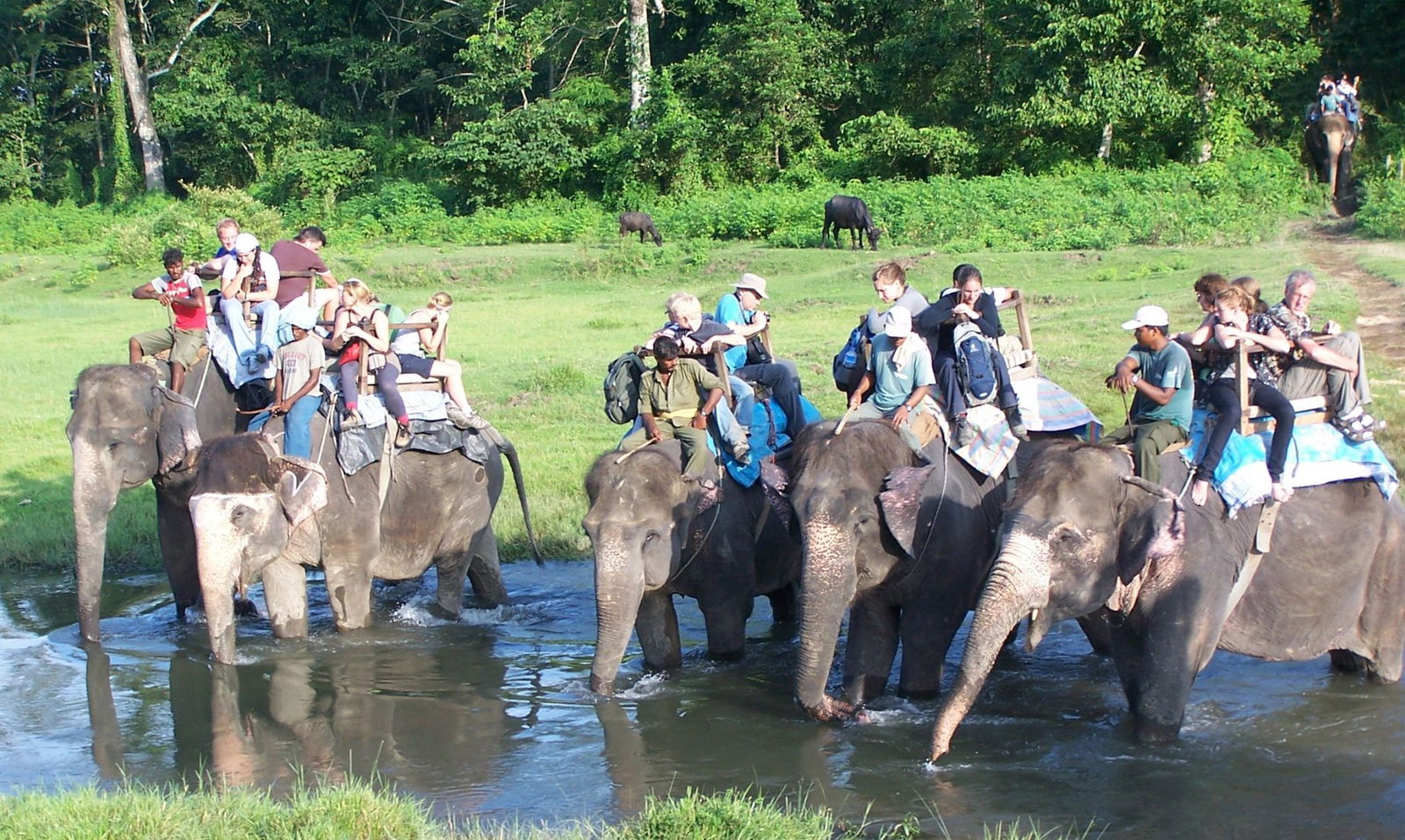 nepal-adventure-travel-elephant-safari-chitwan