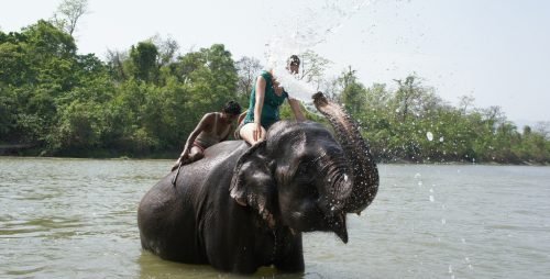 Nepal Travel 6 days elephant bath at Chitwan National Park