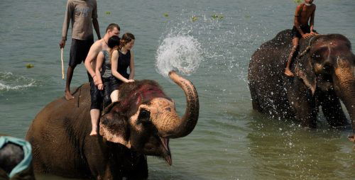 Elephant Bath during Nepal Adventure Travel in Chitwan National Park