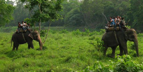 Nepal tour 7 days elephant back safari in Chitwan National Park