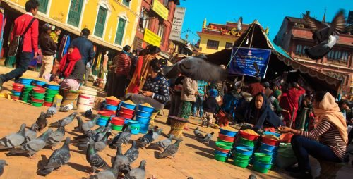 Pigeons around Boudhanath Temple in Nepal Tour 7 days