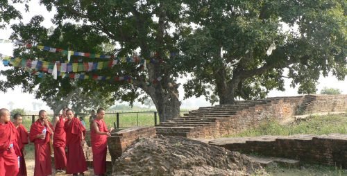 Tilaurakot visit in Buddhist Pilgrimage Tour Nepal