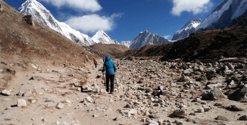 Everest Trek for Single