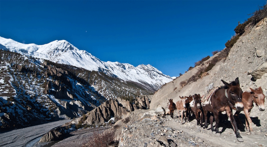 Annapurna Circuit Package Cost