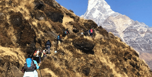 Hike to Mardi Himal