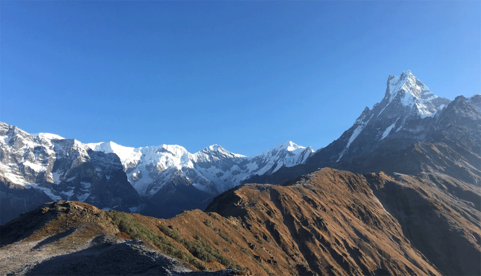 recommended company mardi himal trek