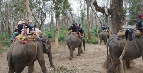 Chitwan Tour package for Nepali