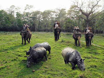 Rafting and Chitwan National Park Tour