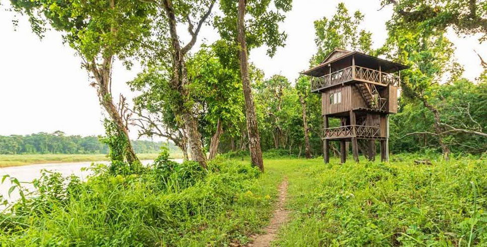 Chitwan National Park Tower Stay