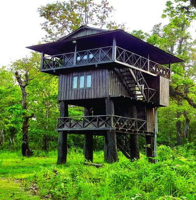 Chitwan National Park Tower Night Stay: Cost of 3 days or 4 days Tour