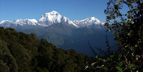 gorepani-trek