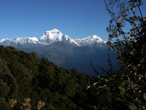 4 Days Poon Hill Trek, Itinerary, Cost