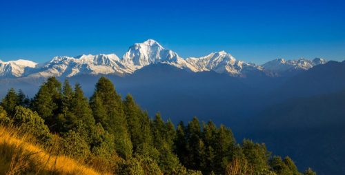 4 Days Poon Hill Trek cost