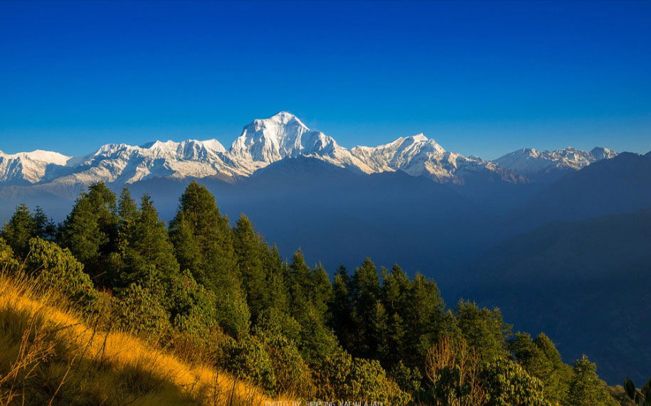 4 Days Poon Hill Trek cost