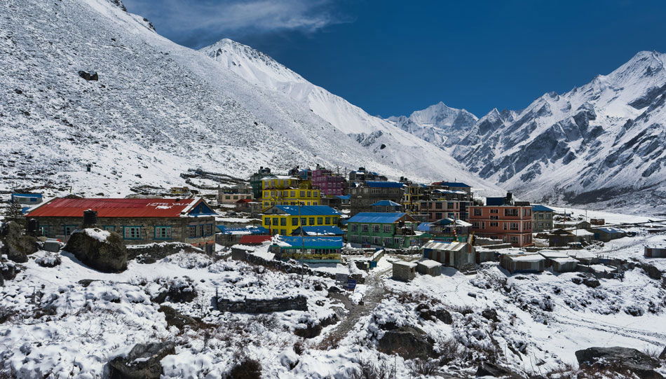 Langtang Valley vs Langtang Circuit Trek: Key Differences
