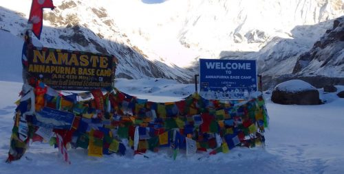 Success rate of Annapurna Base Camp Trek